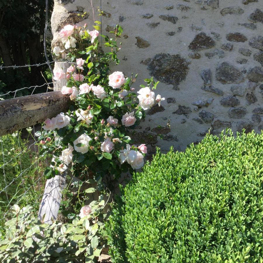 Les Epis Du Vent Bed & Breakfast Adilly Luaran gambar